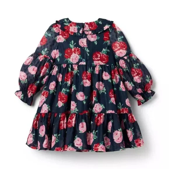 Janie & Jack Girls Floral Long Sleeve Rose Ruffle Dress Size 4 - Picture 2 of 9